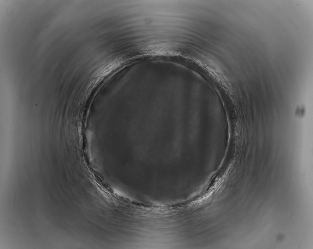 X0000097990881200804071149