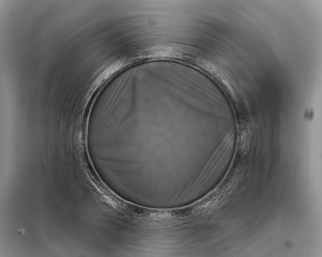 X0000097990882200804071149