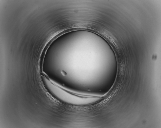 X0000097990884200804071149