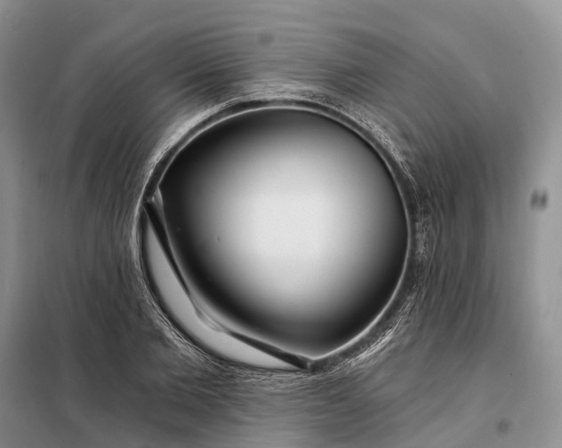 X0000097990885200804071149