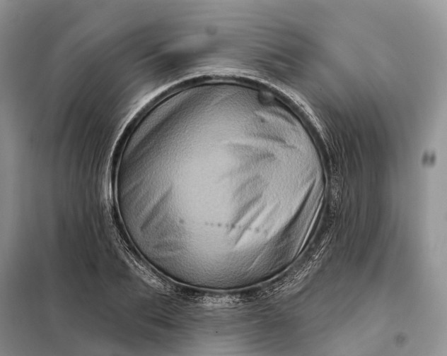 X0000097990887200804071148