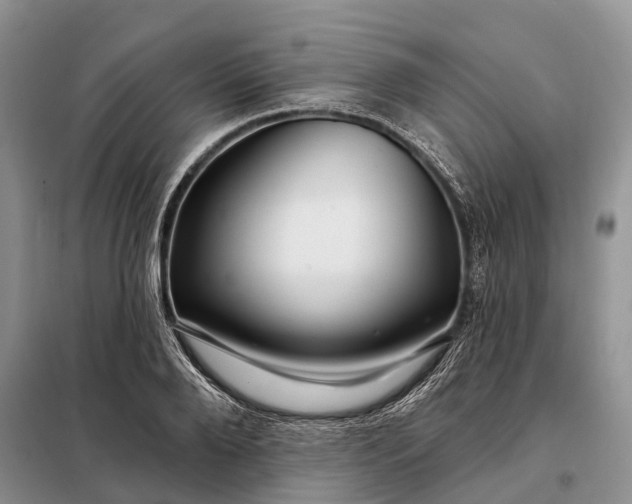 X0000097990888200804071148