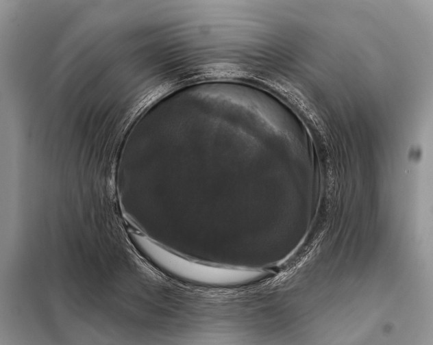 X0000097990889200804071148