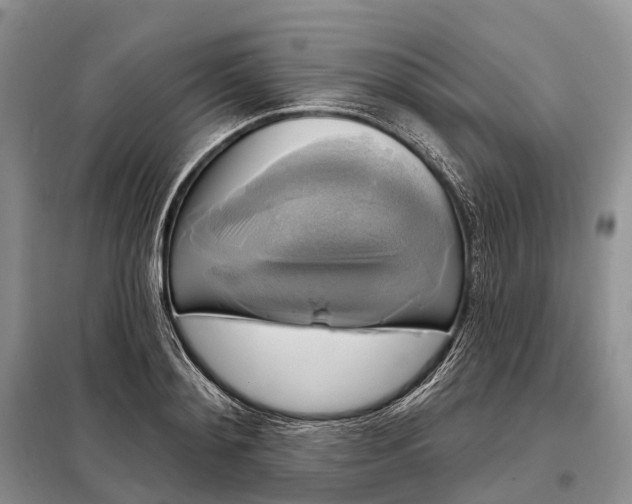 X0000097990892200804071148