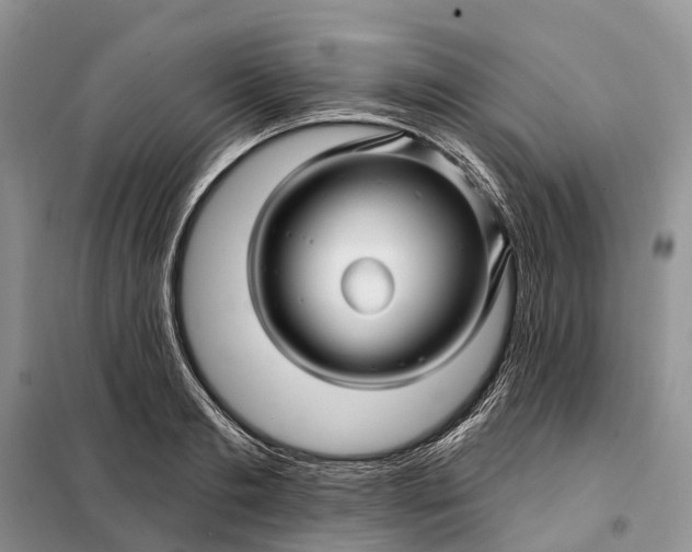 X0000097990893200804071148
