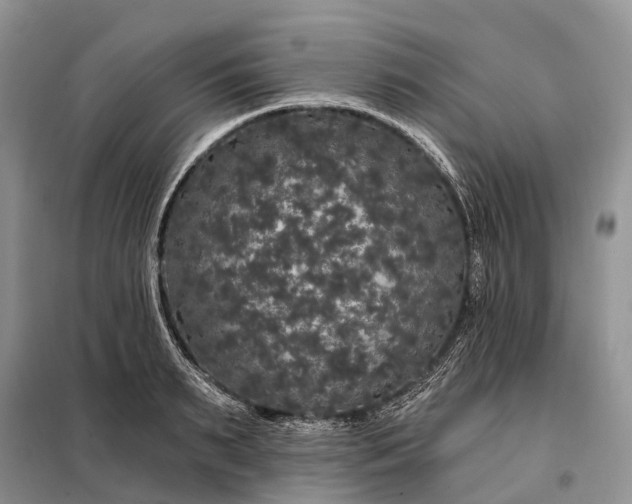 X0000097990895200804071148