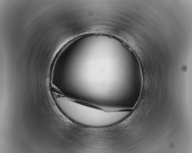 X0000097990896200804071148