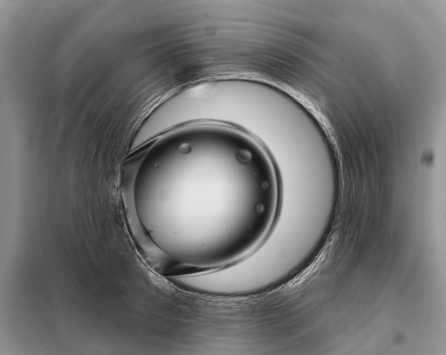 X0000097990897200804071148