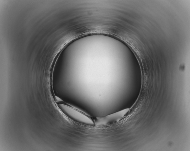 X0000097990898200804071148