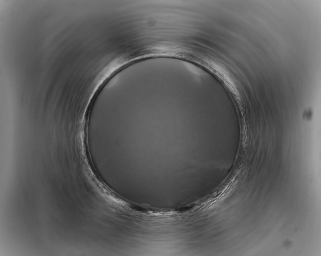 X0000097990899200804071148