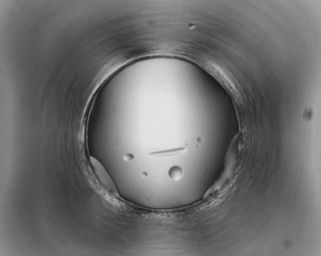 X0000097990900200804071148