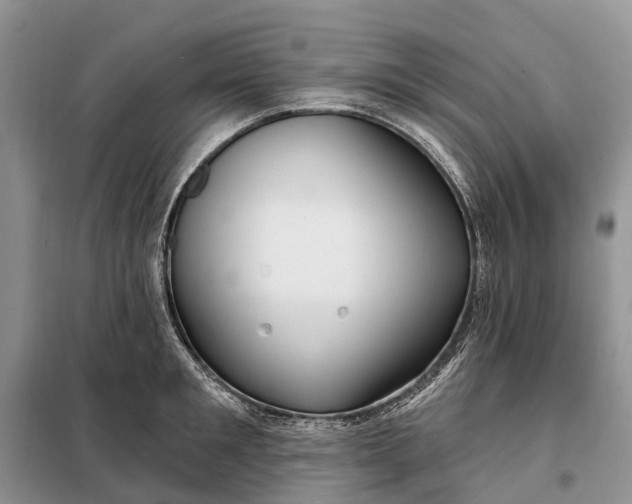 X0000097990901200804071148