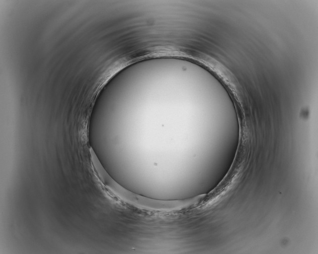 X0000097990905200804071148