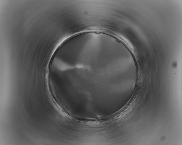 X0000097990907200804071148