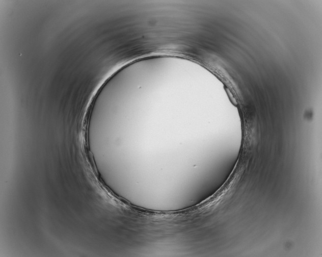 X0000097990908200804071148