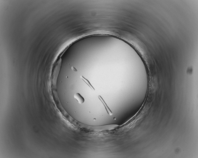 X0000097990910200804071148