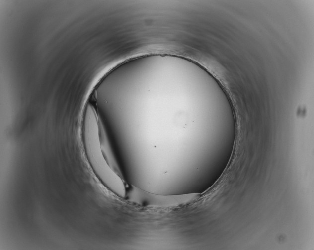 X0000097990912200804071148