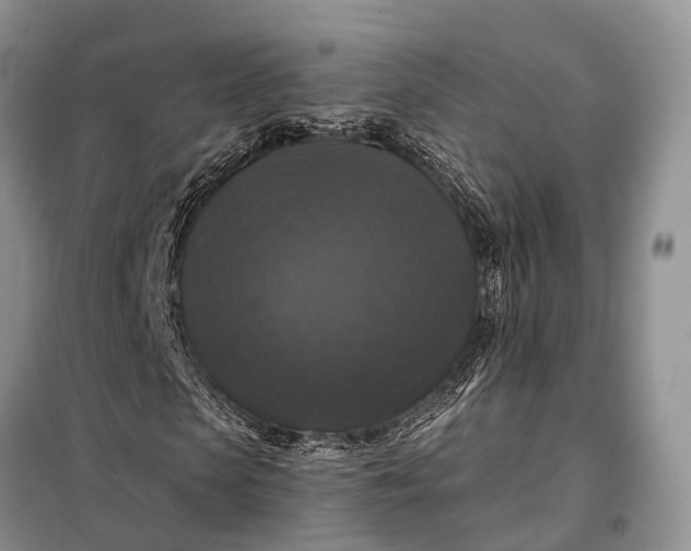 X0000097990913200804071147