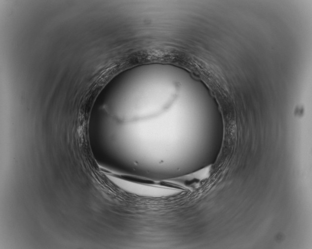 X0000097990914200804071147
