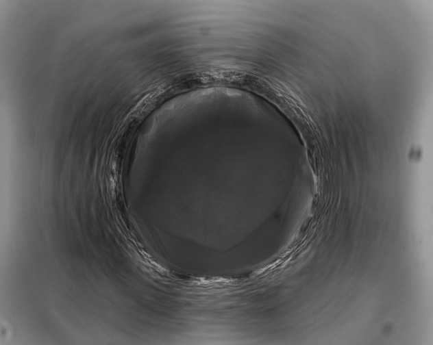 X0000097990915200804071147
