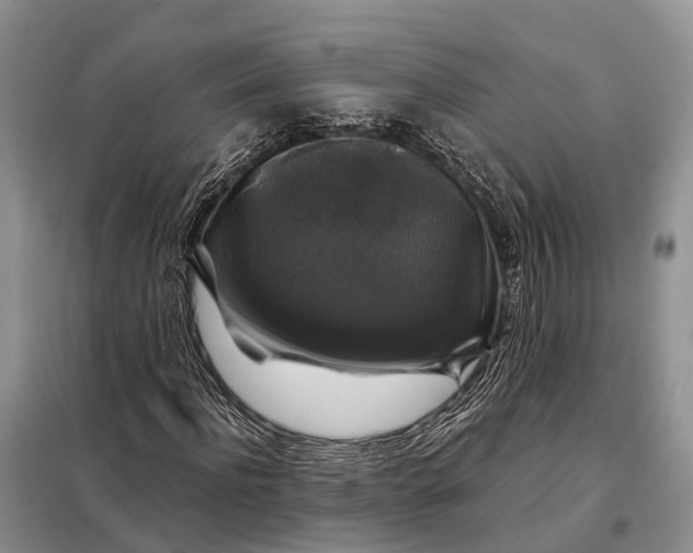 X0000097990916200804071147
