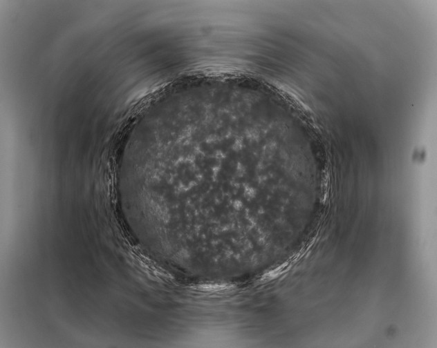 X0000097990917200804071147