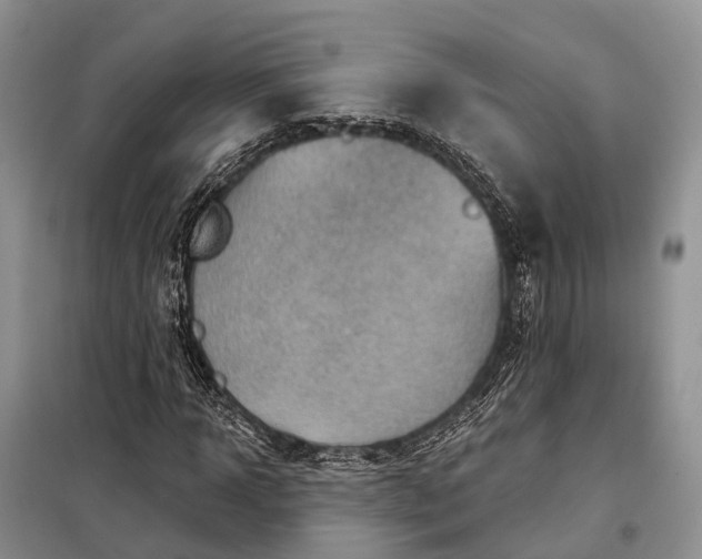 X0000097990918200804071147