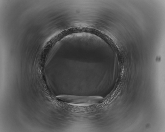 X0000097990919200804071147