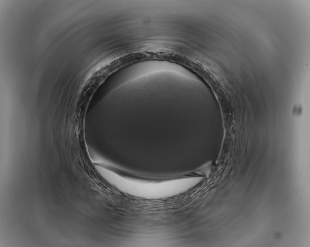 X0000097990920200804071147