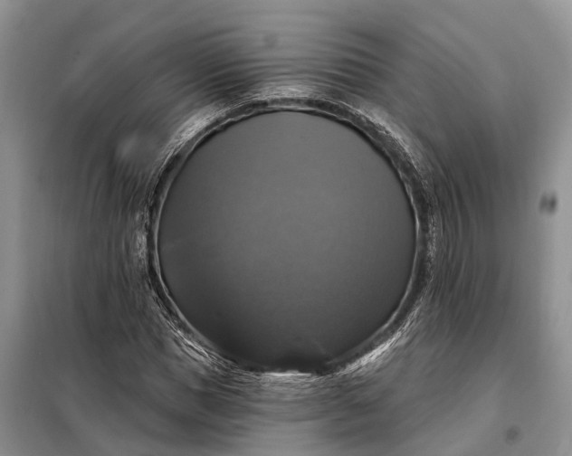 X0000097990921200804071147