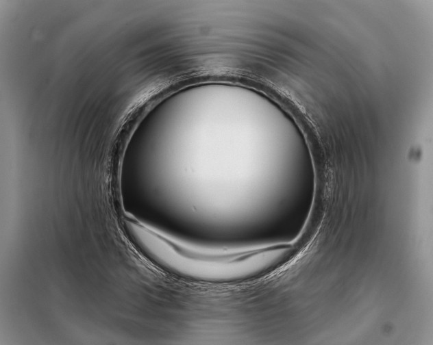 X0000097990922200804071147