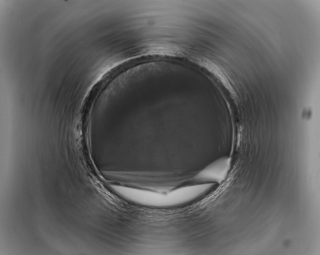 X0000097990923200804071147