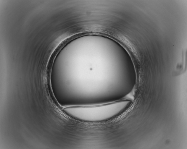 X0000097990924200804071147