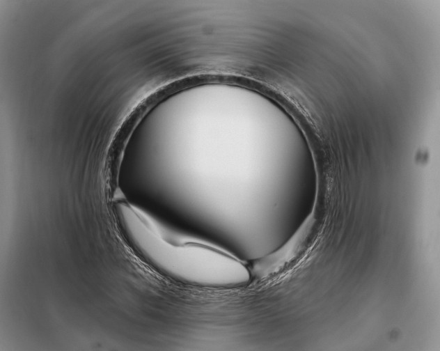 X0000097990926200804071147