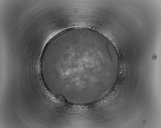 X0000097990928200804071147