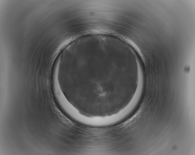 X0000097990930200804071147