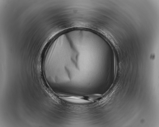 X0000097990931200804071147