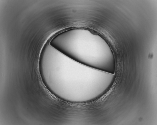 X0000097990932200804071147