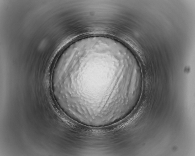 X0000097990933200804071147