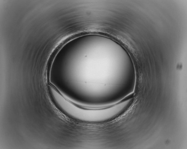 X0000097990934200804071148