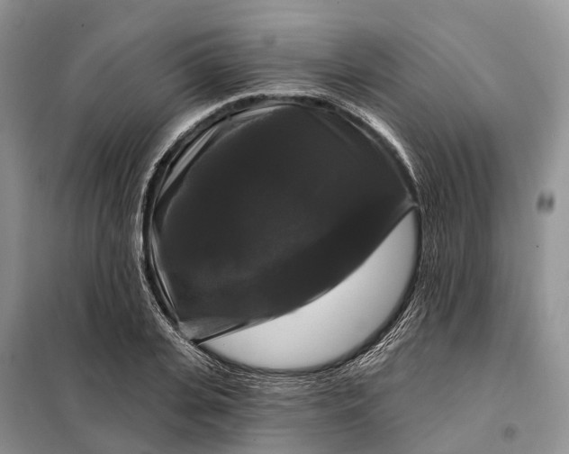 X0000097990935200804071148