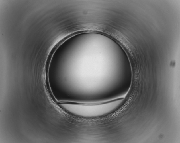 X0000097990936200804071148