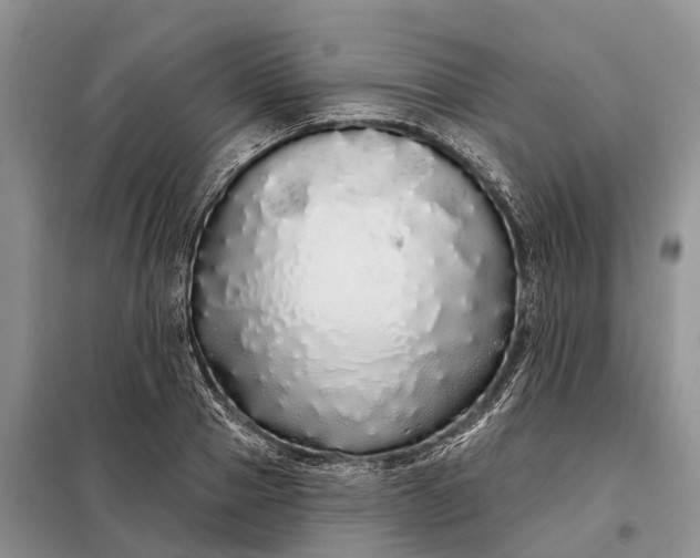 X0000097990937200804071148