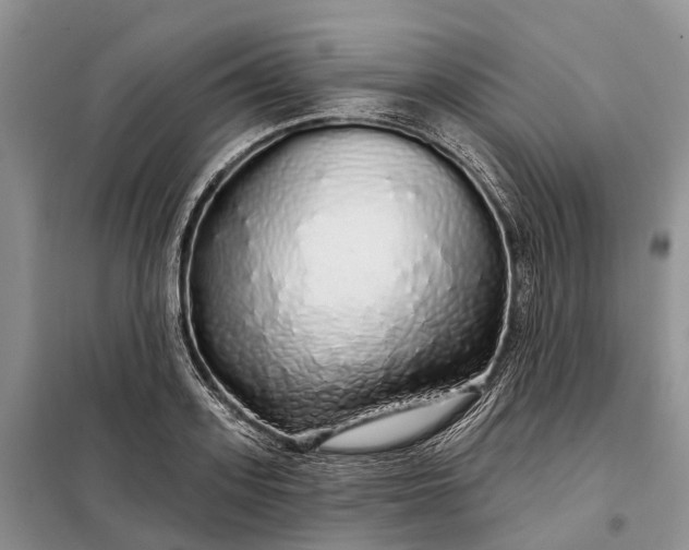 X0000097990939200804071148
