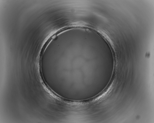X0000097990941200804071148