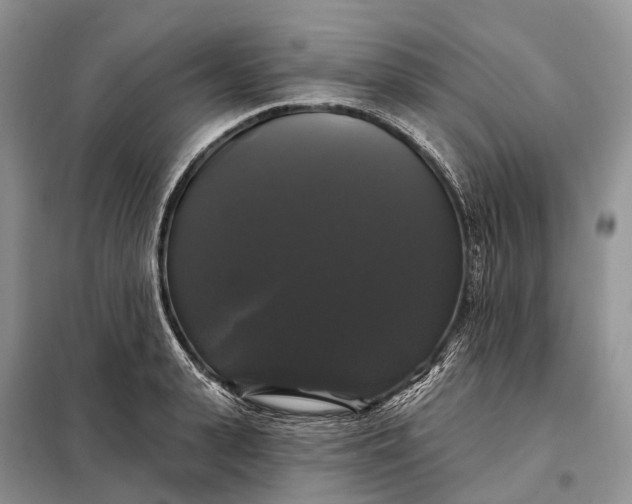 X0000097990943200804071148