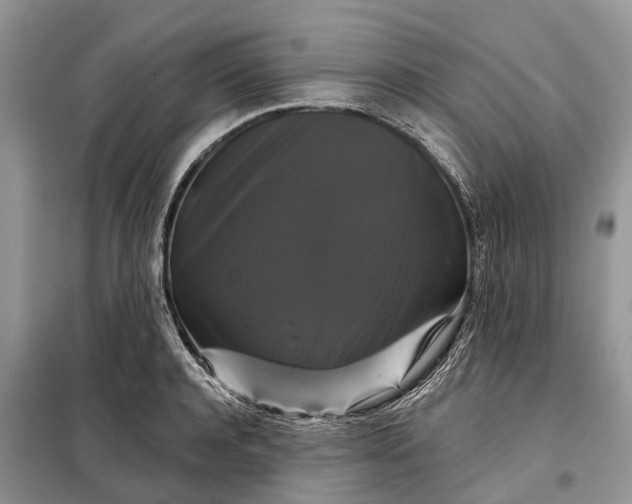 X0000097990944200804071148