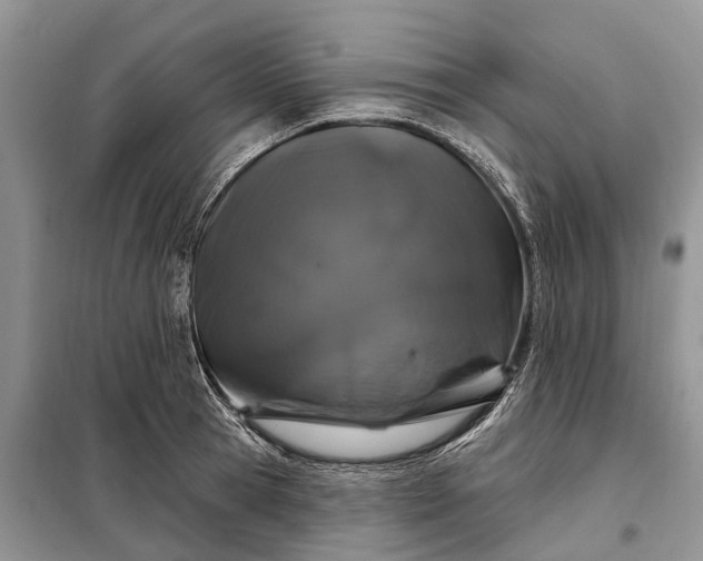X0000097990945200804071148