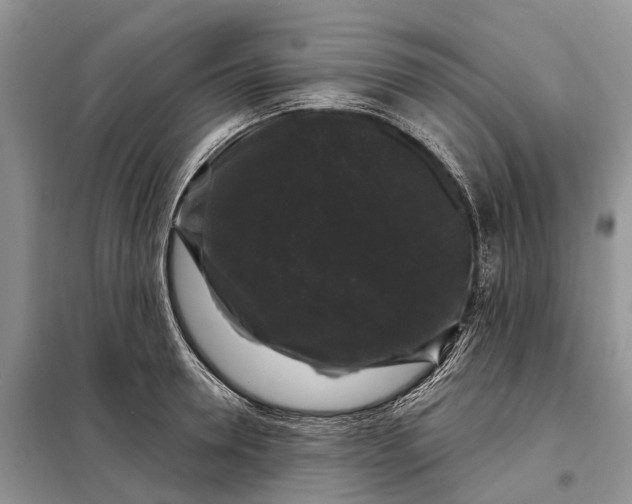 X0000097990946200804071148