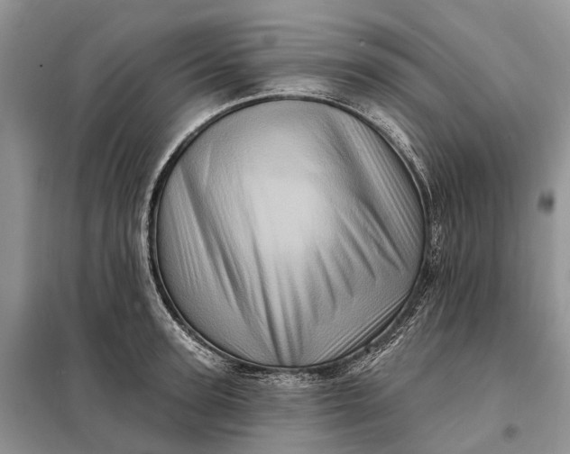 X0000097990947200804071148